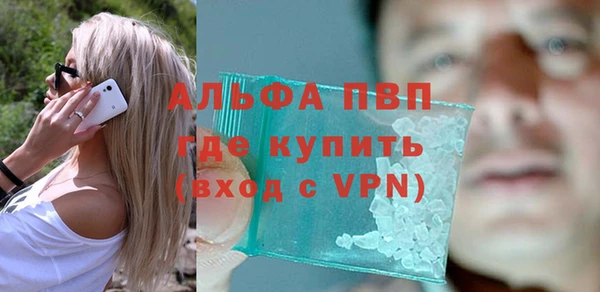 прущие грибы Осинники