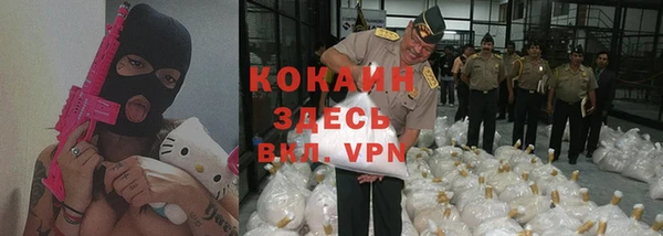 прущие грибы Осинники