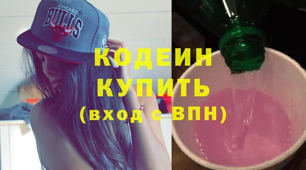 прущие грибы Осинники