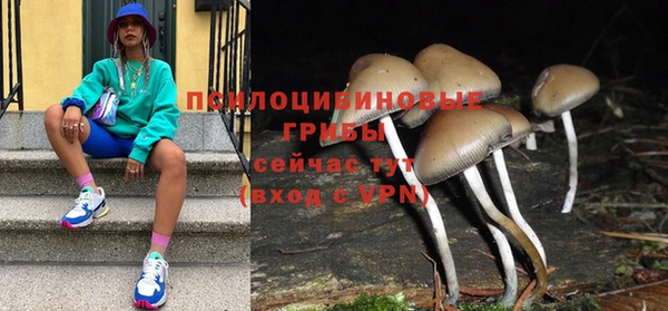 прущие грибы Осинники