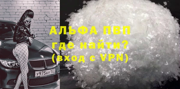 прущие грибы Осинники