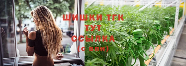 прущие грибы Осинники