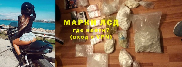 прущие грибы Осинники